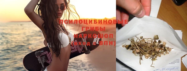 не бодяженный Алзамай