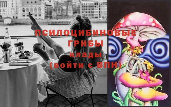 не бодяженный Алзамай