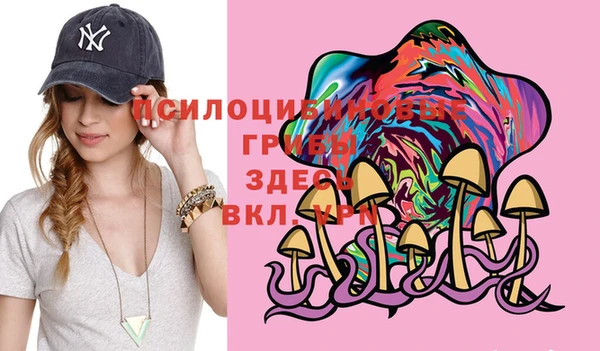 бошки Алексеевка