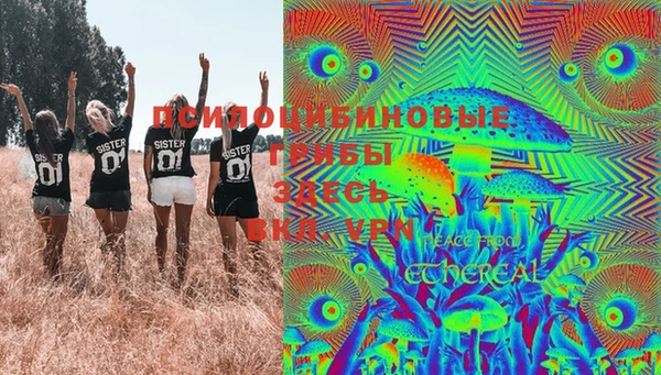 бошки Алексеевка