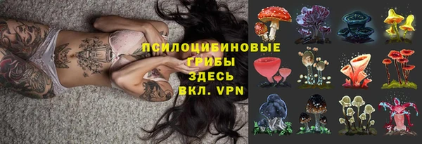 не бодяженный Алзамай