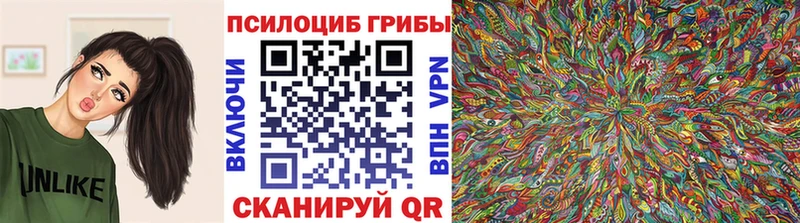 Галлюциногенные грибы Magic Shrooms  купить  сайты  Бакал 